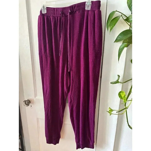 Jane + Delancey women’s size 2x-large purple sweatpants - Picture 2 of 7